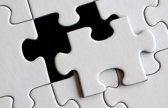 Legacy Stewardship & Strategic Planning
